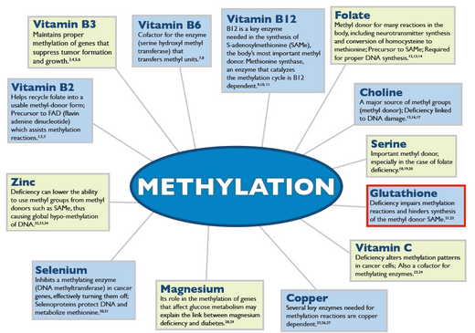 Not All Vitamins Are The Same – Standard vs. Methylated