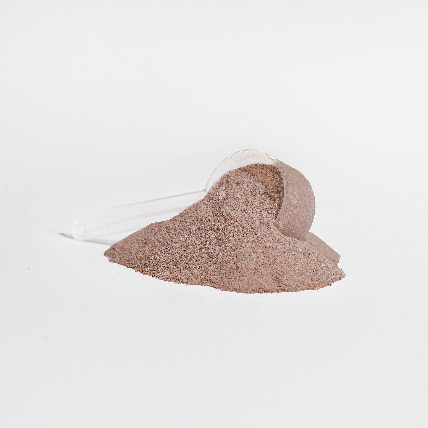 Protein Max (Chocolate) - Advanced Whey Protein Powder